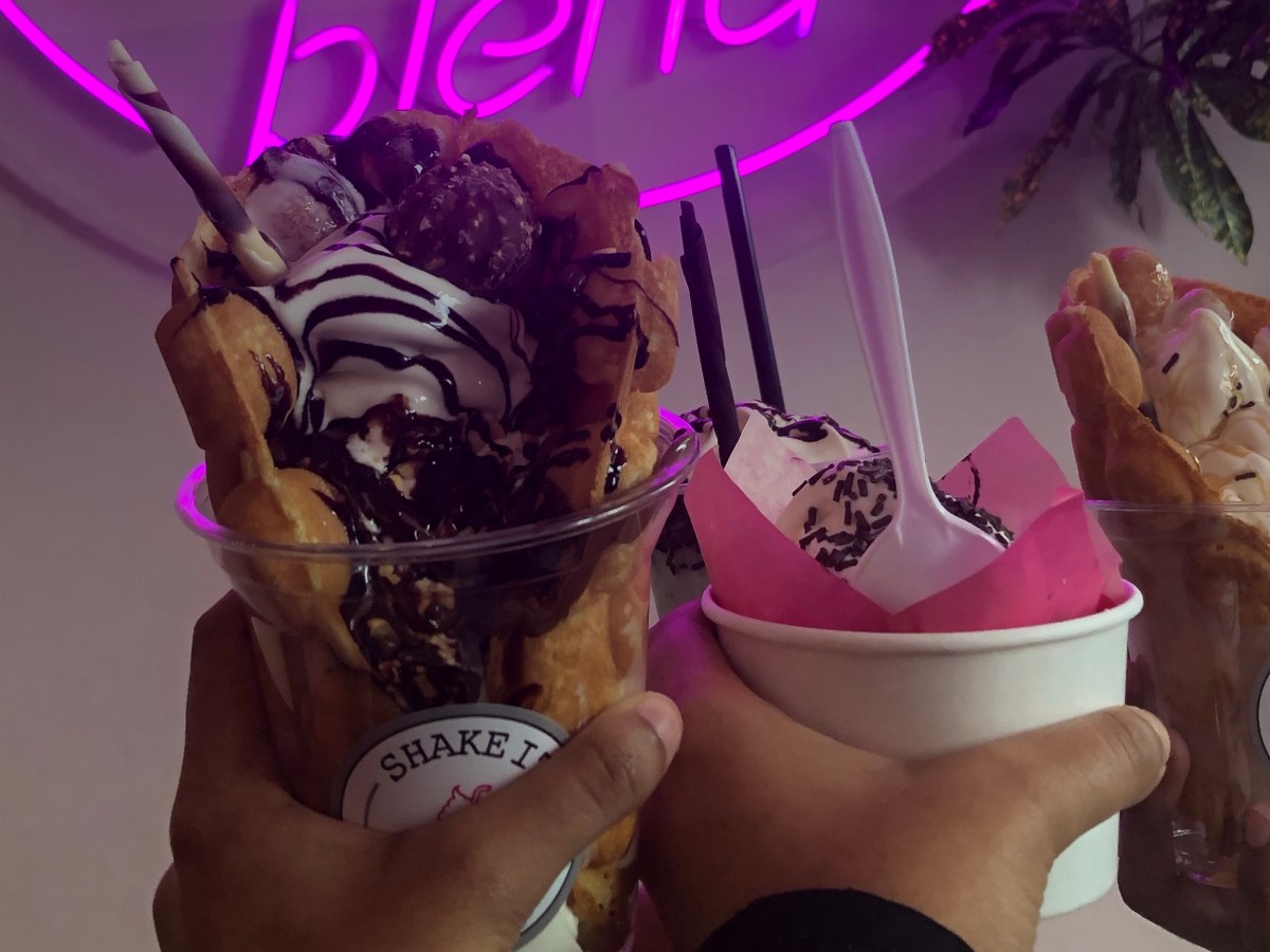 VISITING SHAKE IT &&nbsp;CO!