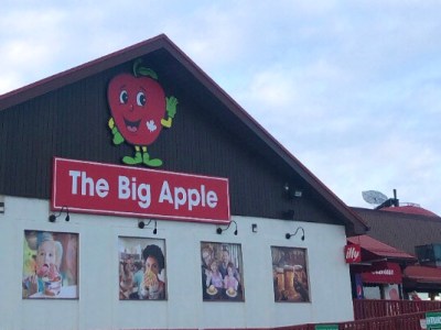 VISITING THE BIG&nbsp;APPLE