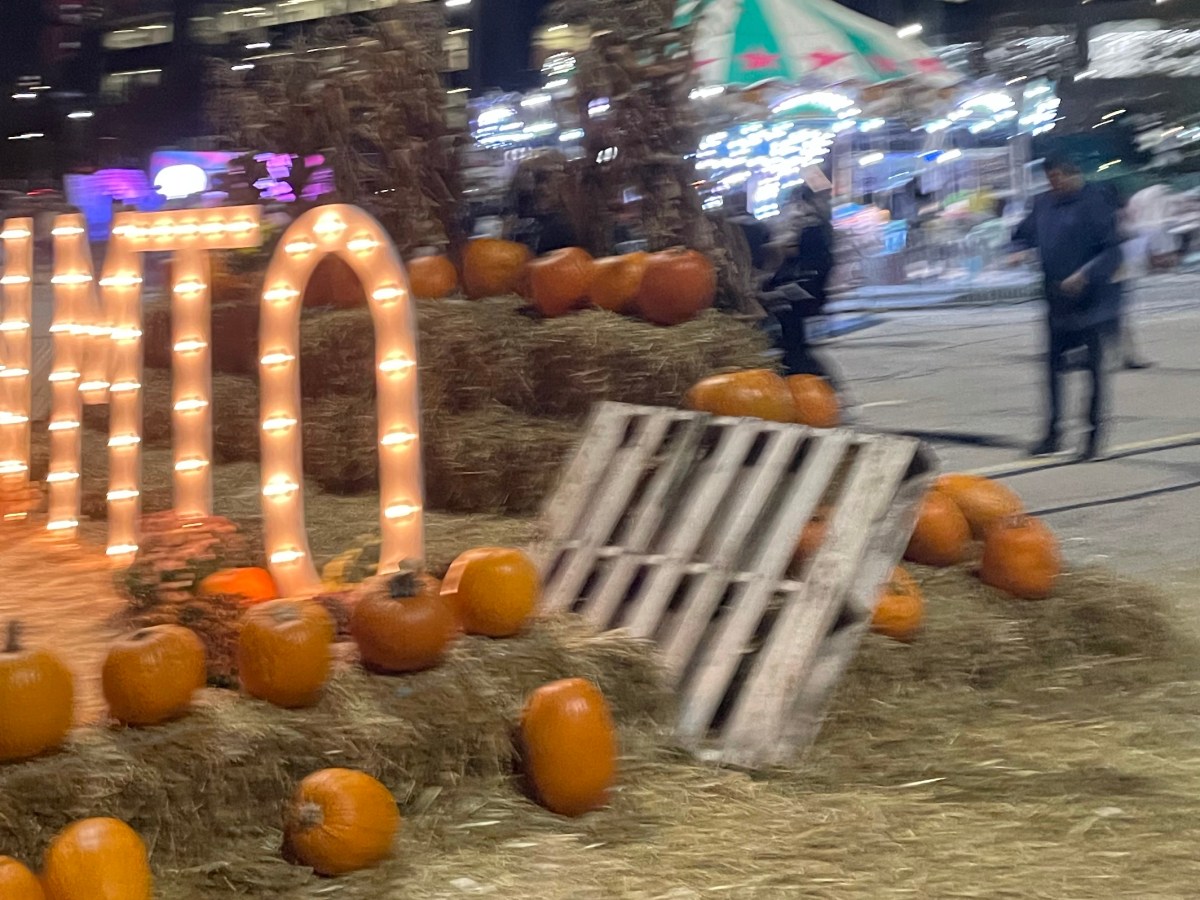 VISITING THE FALL NIGHT MARKET&nbsp;T.O.