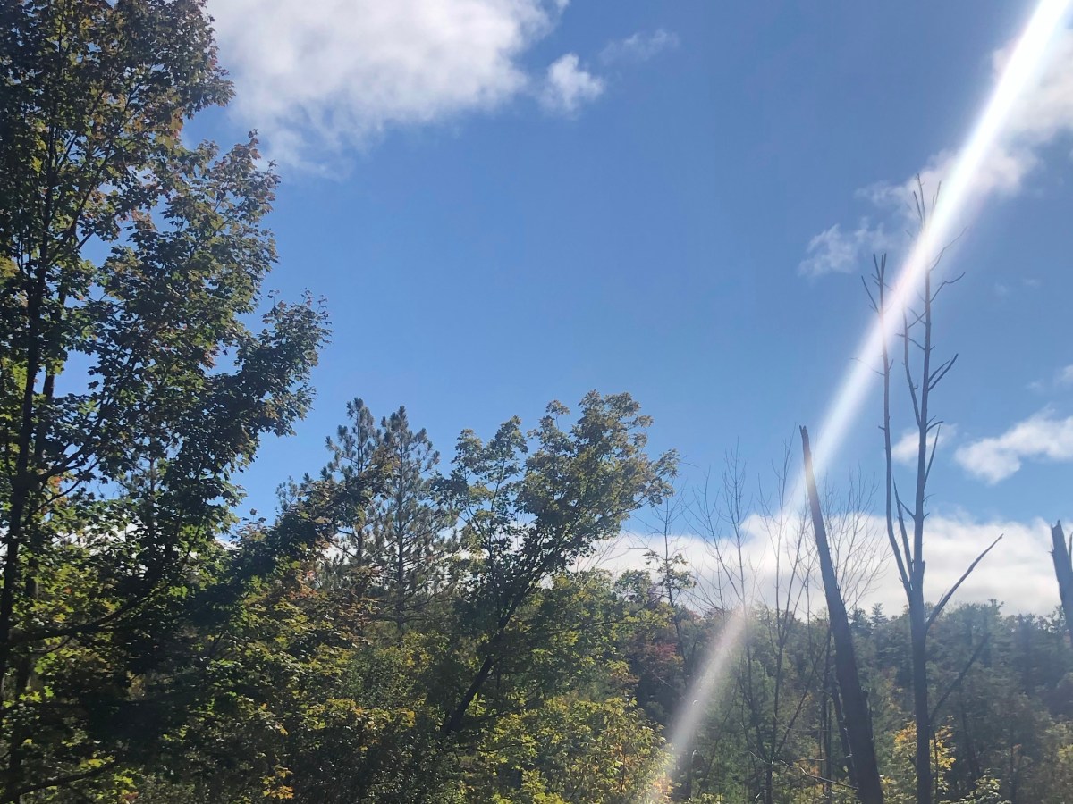 HIKING AT SILVER CREEK CONSERVATION&nbsp;AREA