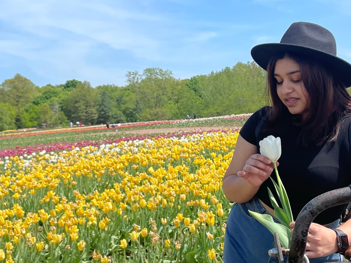 VISITING TASC TULIP FARM IN&nbsp;NIAGARA