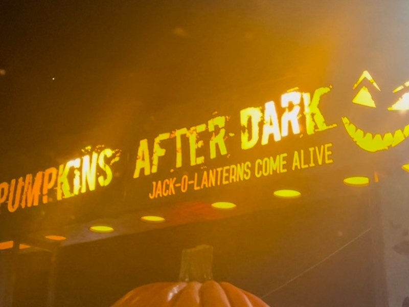 Pumpkins After Dark – Milton,&nbsp;Ontario