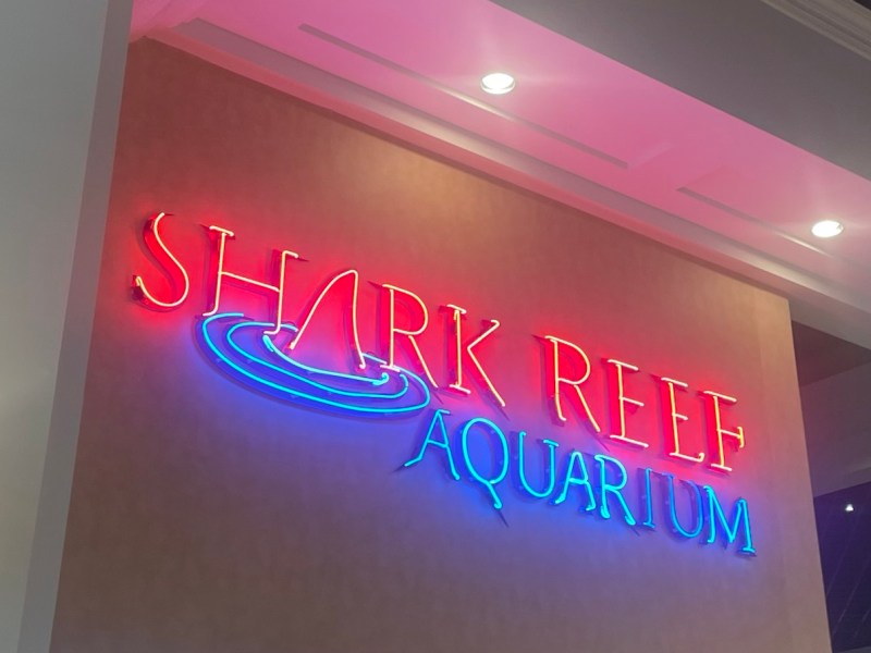 The Shark Reef Aquarium at Mandalay Bay in Las&nbsp;Vegas