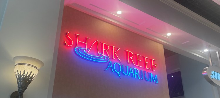 The Shark Reef Aquarium at Mandalay Bay in Las&nbsp;Vegas